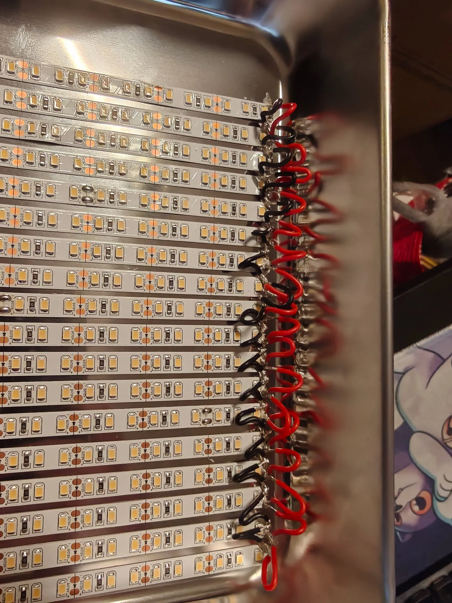 Image taken on 10 December 2025